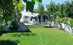 Villa Dina